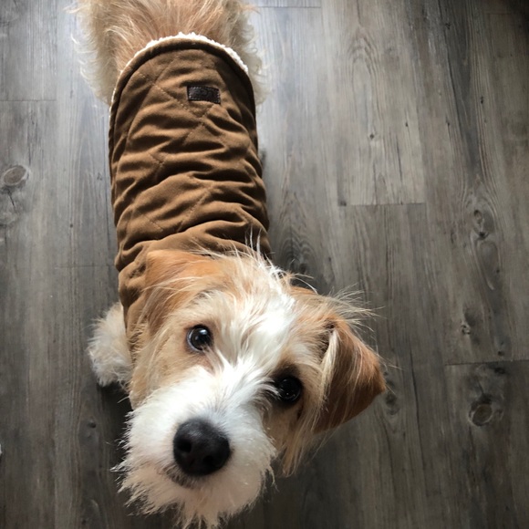 ugg classic reversible dog coat